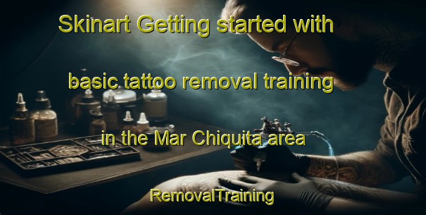 Skinart Getting started with basic tattoo removal training in the Mar Chiquita area | RemovalTraining | RemovalClasses | SkinartTraining-Argentina