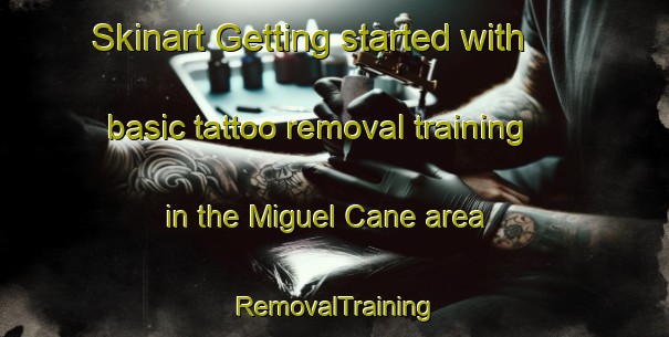 Skinart Getting started with basic tattoo removal training in the Miguel Cane area | RemovalTraining | RemovalClasses | SkinartTraining-Argentina
