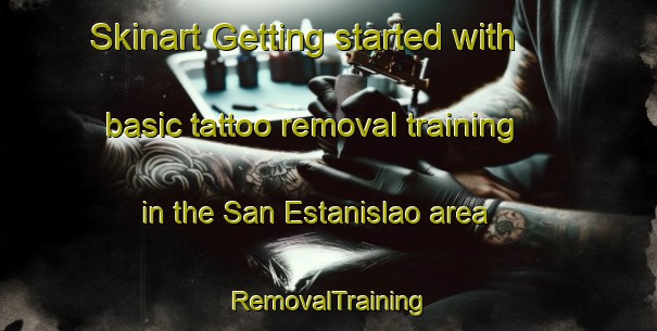 Skinart Getting started with basic tattoo removal training in the San Estanislao area | RemovalTraining | RemovalClasses | SkinartTraining-Argentina
