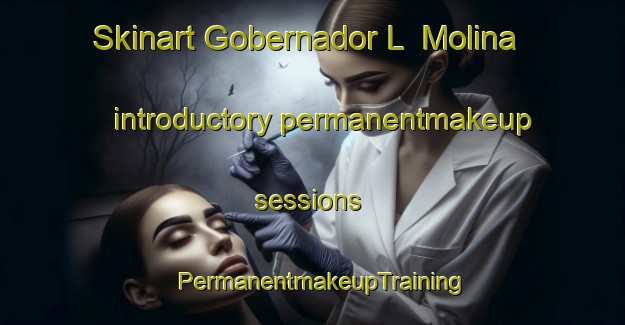 Skinart Gobernador L  Molina introductory permanentmakeup sessions | PermanentmakeupTraining | PermanentmakeupClasses | SkinartTraining-Argentina