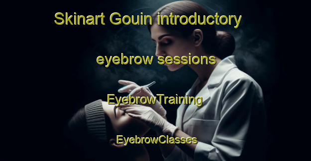 Skinart Gouin introductory eyebrow sessions | EyebrowTraining | EyebrowClasses | SkinartTraining-Argentina