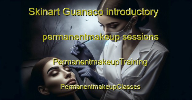 Skinart Guanaco introductory permanentmakeup sessions | #PermanentmakeupTraining #PermanentmakeupClasses #SkinartTraining-Argentina