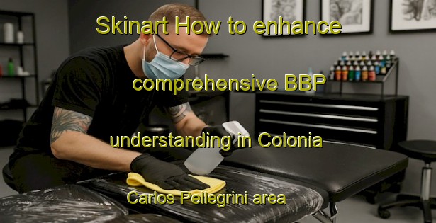 Skinart How to enhance comprehensive BBP understanding in Colonia Carlos Pellegrini area | BbpTraining | BbpClasses | SkinartTraining-Argentina