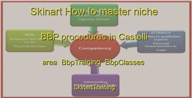 Skinart How to master niche BBP procedures in Castelli area | BbpTraining | BbpClasses | SkinartTraining-Argentina