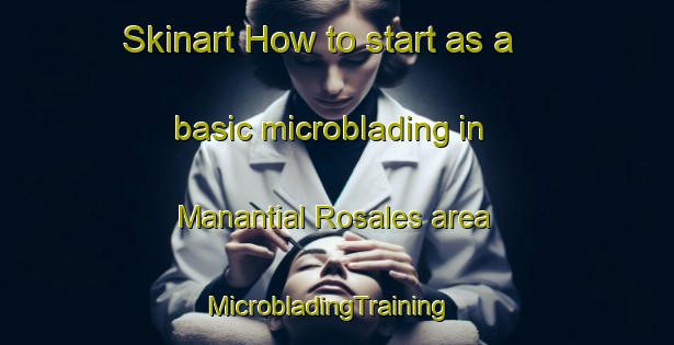 Skinart How to start as a basic microblading in Manantial Rosales area | MicrobladingTraining | MicrobladingClasses | SkinartTraining-Argentina