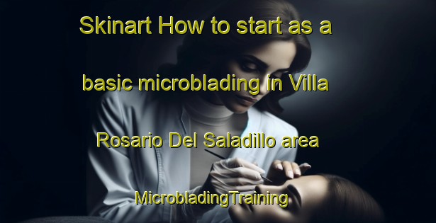 Skinart How to start as a basic microblading in Villa Rosario Del Saladillo area | MicrobladingTraining | MicrobladingClasses | SkinartTraining-Argentina