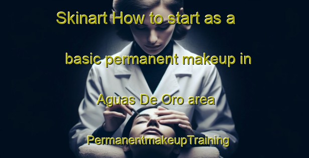 Skinart How to start as a basic permanent makeup in Aguas De Oro area | PermanentmakeupTraining | PermanentmakeupClasses | SkinartTraining-Argentina