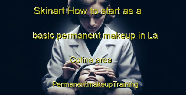 Skinart How to start as a basic permanent makeup in La Colina area | PermanentmakeupTraining | PermanentmakeupClasses | SkinartTraining-Argentina