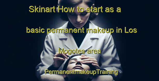 Skinart How to start as a basic permanent makeup in Los Mogotes area | PermanentmakeupTraining | PermanentmakeupClasses | SkinartTraining-Argentina