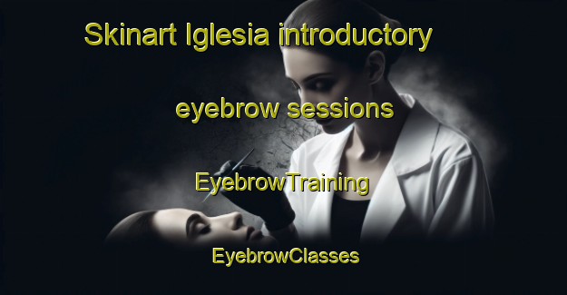 Skinart Iglesia introductory eyebrow sessions | EyebrowTraining | EyebrowClasses | SkinartTraining-Argentina