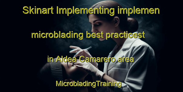 Skinart Implementing implemen microblading best practicest in Aldea Camarero area | MicrobladingTraining | MicrobladingClasses | SkinartTraining-Argentina