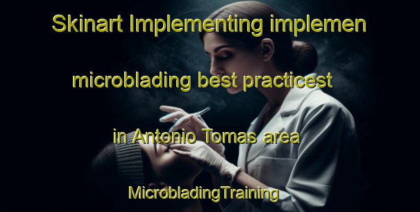 Skinart Implementing implemen microblading best practicest in Antonio Tomas area | MicrobladingTraining | MicrobladingClasses | SkinartTraining-Argentina
