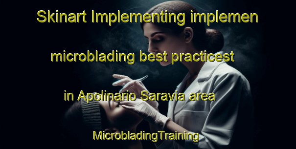 Skinart Implementing implemen microblading best practicest in Apolinario Saravia area | #MicrobladingTraining #MicrobladingClasses #SkinartTraining-Argentina