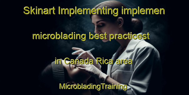 Skinart Implementing implemen microblading best practicest in Canada Rica area | #MicrobladingTraining #MicrobladingClasses #SkinartTraining-Argentina