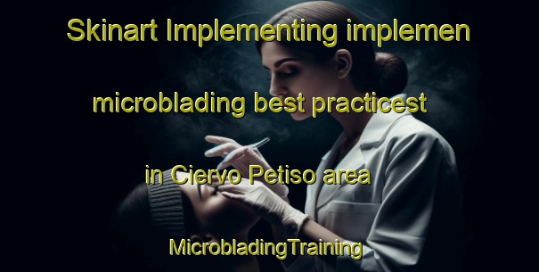 Skinart Implementing implemen microblading best practicest in Ciervo Petiso area | #MicrobladingTraining #MicrobladingClasses #SkinartTraining-Argentina