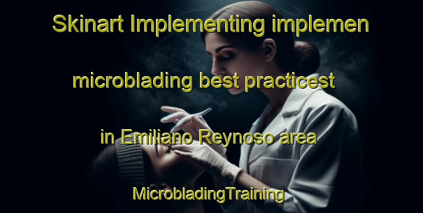 Skinart Implementing implemen microblading best practicest in Emiliano Reynoso area | #MicrobladingTraining #MicrobladingClasses #SkinartTraining-Argentina