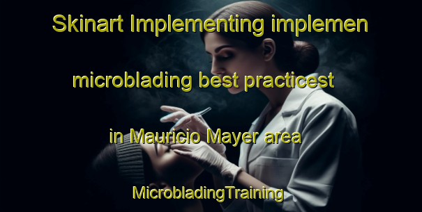 Skinart Implementing implemen microblading best practicest in Mauricio Mayer area | #MicrobladingTraining #MicrobladingClasses #SkinartTraining-Argentina