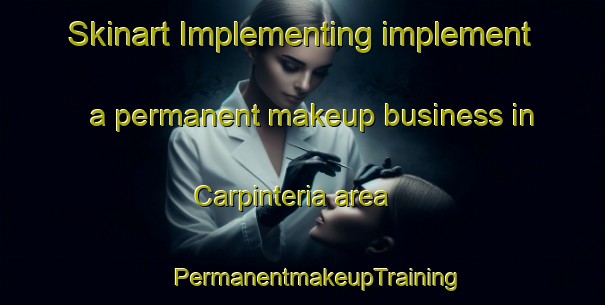 Skinart Implementing implement a permanent makeup business in Carpinteria area | #PermanentmakeupTraining #PermanentmakeupClasses #SkinartTraining-Argentina