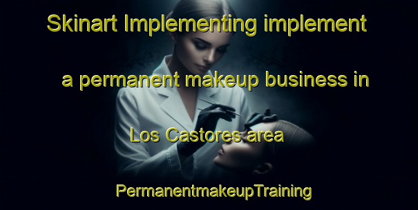 Skinart Implementing implement a permanent makeup business in Los Castores area | PermanentmakeupTraining | PermanentmakeupClasses | SkinartTraining-Argentina