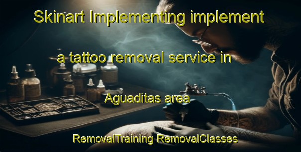 Skinart Implementing implement a tattoo removal service in Aguaditas area | #RemovalTraining #RemovalClasses #SkinartTraining-Argentina