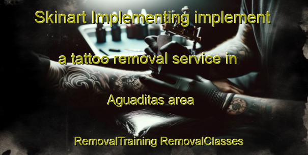 Skinart Implementing implement a tattoo removal service in Aguaditas area | #RemovalTraining #RemovalClasses #SkinartTraining-Argentina