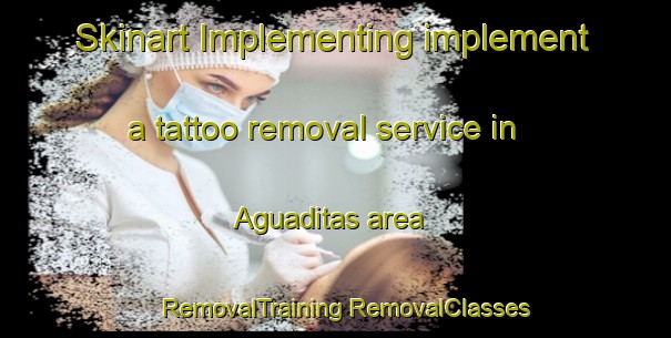 Skinart Implementing implement a tattoo removal service in Aguaditas area | #RemovalTraining #RemovalClasses #SkinartTraining-Argentina