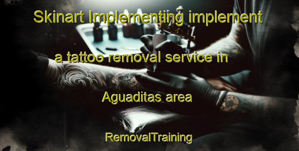 Skinart Implementing implement a tattoo removal service in Aguaditas area | RemovalTraining | RemovalClasses | SkinartTraining-Argentina