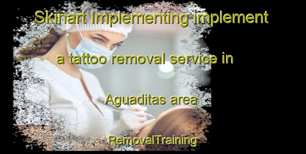Skinart Implementing implement a tattoo removal service in Aguaditas area | RemovalTraining | RemovalClasses | SkinartTraining-Argentina