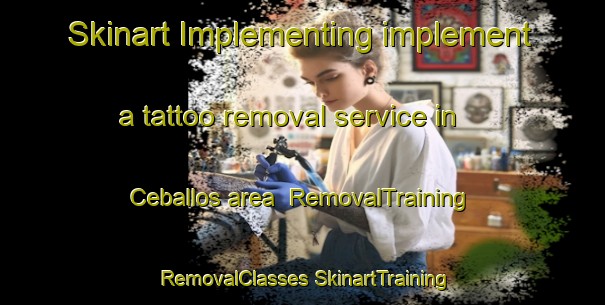 Skinart Implementing implement a tattoo removal service in Ceballos area | #RemovalTraining #RemovalClasses #SkinartTraining-Argentina