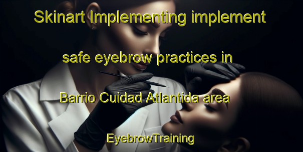 Skinart Implementing implement safe eyebrow practices in Barrio Cuidad Atlantida area | EyebrowTraining | EyebrowClasses | SkinartTraining-Argentina