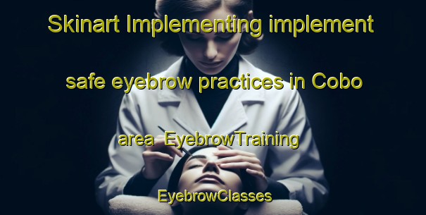 Skinart Implementing implement safe eyebrow practices in Cobo area | EyebrowTraining | EyebrowClasses | SkinartTraining-Argentina