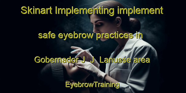 Skinart Implementing implement safe eyebrow practices in Gobernador J  J  Lanusse area | EyebrowTraining | EyebrowClasses | SkinartTraining-Argentina