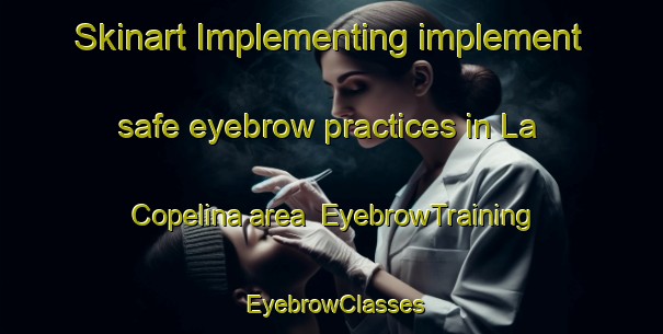 Skinart Implementing implement safe eyebrow practices in La Copelina area | EyebrowTraining | EyebrowClasses | SkinartTraining-Argentina