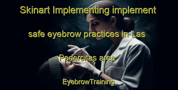 Skinart Implementing implement safe eyebrow practices in Las Padercitas area | EyebrowTraining | EyebrowClasses | SkinartTraining-Argentina