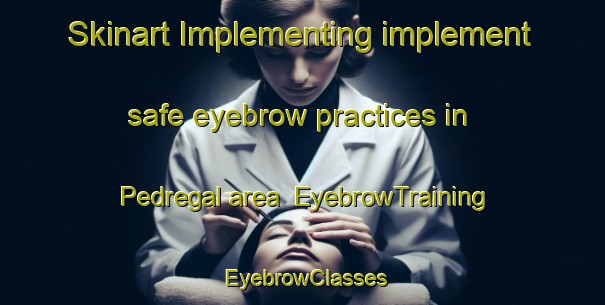 Skinart Implementing implement safe eyebrow practices in Pedregal area | EyebrowTraining | EyebrowClasses | SkinartTraining-Argentina