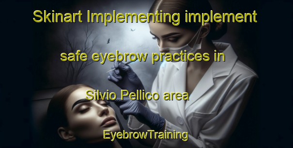 Skinart Implementing implement safe eyebrow practices in Silvio Pellico area | EyebrowTraining | EyebrowClasses | SkinartTraining-Argentina