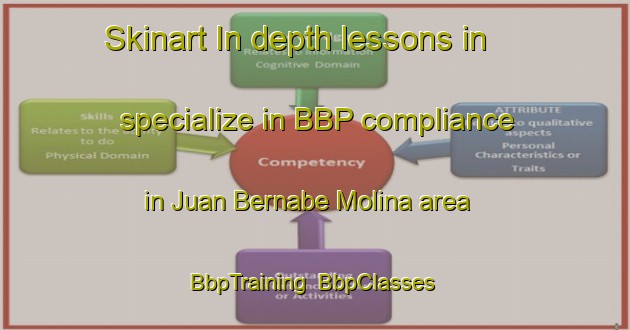 Skinart In-depth lessons in specialize in BBP compliance in Juan Bernabe Molina area | BbpTraining | BbpClasses | SkinartTraining-Argentina