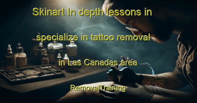 Skinart In-depth lessons in specialize in tattoo removal in Las Canadas area | RemovalTraining | RemovalClasses | SkinartTraining-Argentina