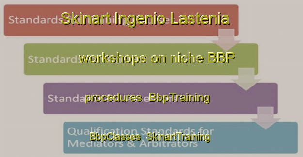Skinart Ingenio Lastenia workshops on niche BBP procedures | BbpTraining | BbpClasses | SkinartTraining-Argentina