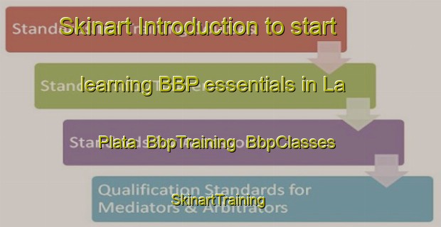 Skinart Introduction to start learning BBP essentials in La Plata | BbpTraining | BbpClasses | SkinartTraining-Argentina