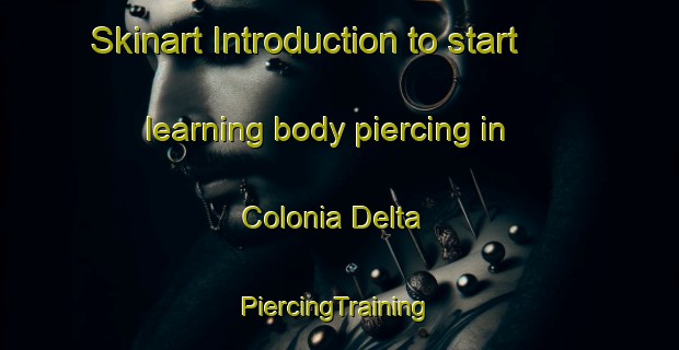 Skinart Introduction to start learning body piercing in Colonia Delta | #PiercingTraining #PiercingClasses #SkinartTraining-Argentina