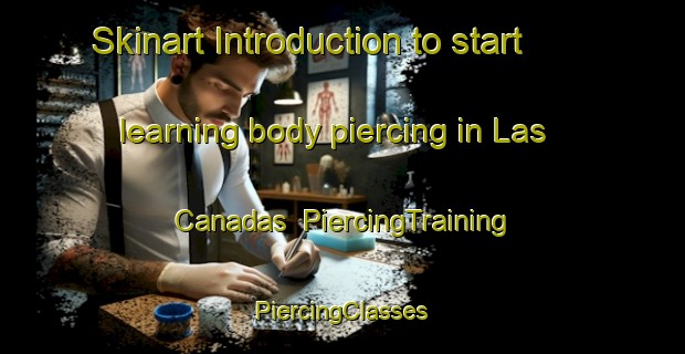 Skinart Introduction to start learning body piercing in Las Canadas | #PiercingTraining #PiercingClasses #SkinartTraining-Argentina