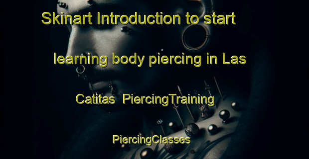 Skinart Introduction to start learning body piercing in Las Catitas | PiercingTraining | PiercingClasses | SkinartTraining-Argentina