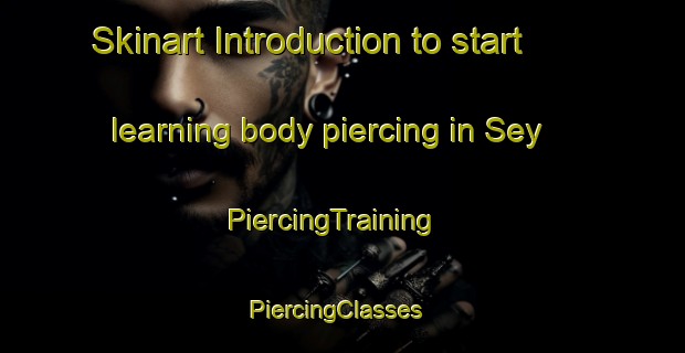 Skinart Introduction to start learning body piercing in Sey | PiercingTraining | PiercingClasses | SkinartTraining-Argentina