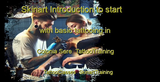Skinart Introduction to start with basic tattooing in Colonia Sere | TattooTraining | TattooClasses | SkinartTraining-Argentina