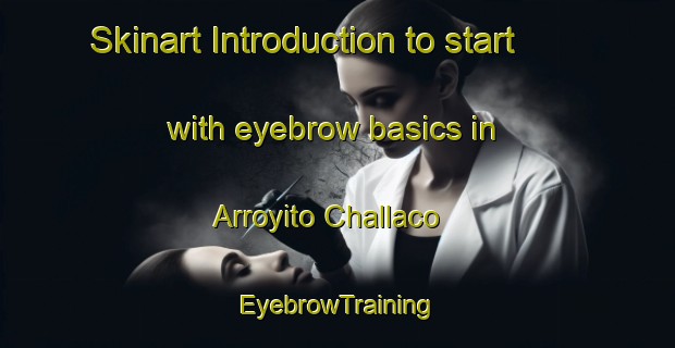 Skinart Introduction to start with eyebrow basics in Arroyito Challaco | EyebrowTraining | EyebrowClasses | SkinartTraining-Argentina