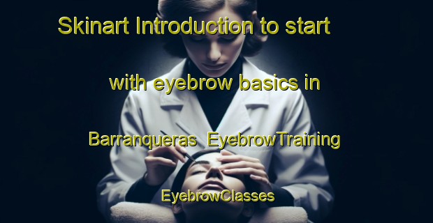 Skinart Introduction to start with eyebrow basics in Barranqueras | EyebrowTraining | EyebrowClasses | SkinartTraining-Argentina