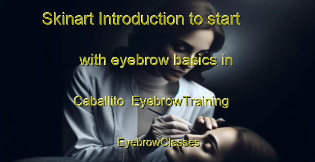 Skinart Introduction to start with eyebrow basics in Caballito | EyebrowTraining | EyebrowClasses | SkinartTraining-Argentina