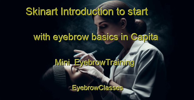 Skinart Introduction to start with eyebrow basics in Capita Mini | EyebrowTraining | EyebrowClasses | SkinartTraining-Argentina