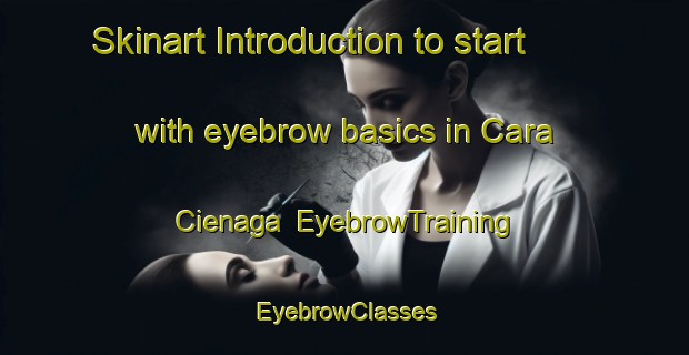 Skinart Introduction to start with eyebrow basics in Cara Cienaga | EyebrowTraining | EyebrowClasses | SkinartTraining-Argentina